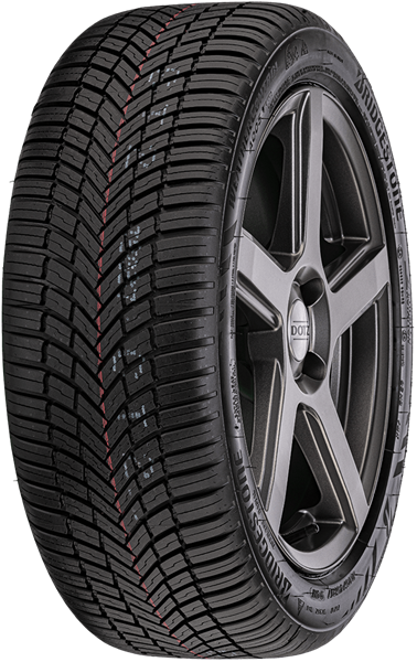 Bridgestone Weather Control A005 EVO 225/55 R19 99 V