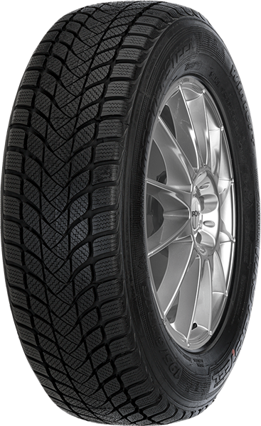 Mastersteel WINTER + W1 195/55 R15 85 H