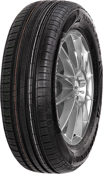 Minerva F209 205/55 R15 88 V