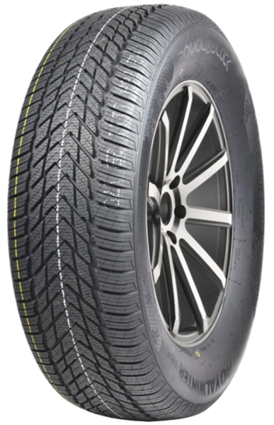 Royal Black Royal Winter HP 205/55 R16 91 H