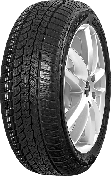 Sava Eskimo HP2 205/55 R17 95 V XL