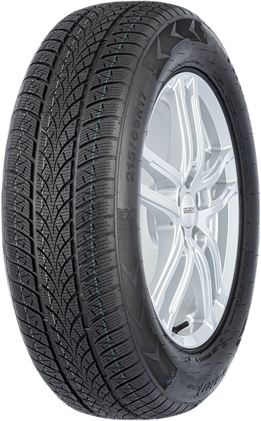 Triangle Winter X TW401 215/45 R17 91 V XL