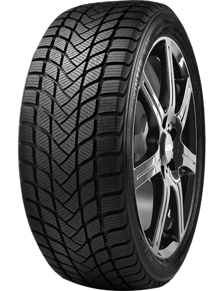 Delinte WD6 205/55 R17 95 H