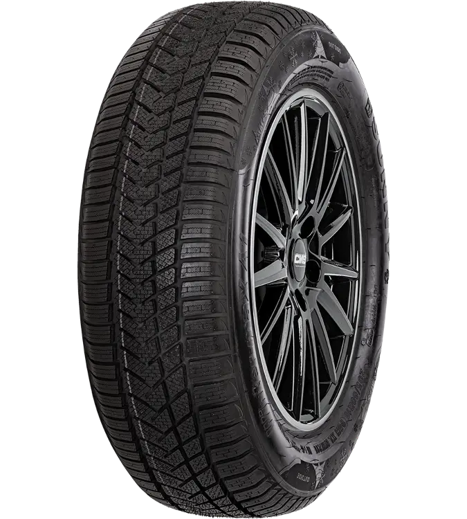 Sunny Wintermaxx NW211 225/50 R18 99 V XL