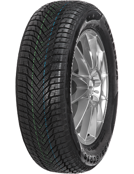 Minerva Frostrack HP 205/60 R15 91 H