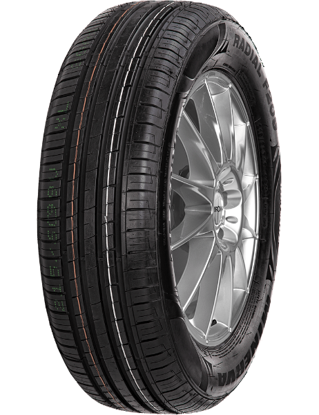 Minerva F209 205/50 R16 87 V