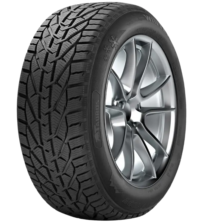 Taurus Winter 195/55 R16 87 T