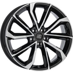 MSW 42 Black Polished