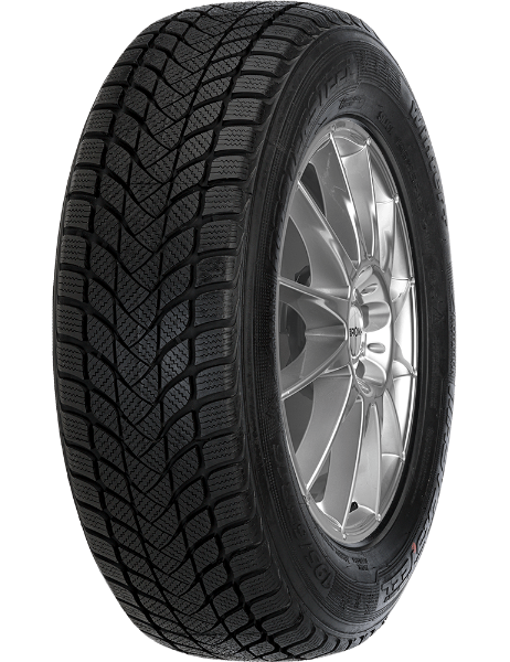 Mastersteel WINTER + W1 245/45 R18 100 H XL