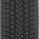 GRIPMAX SureGrip ProWinter 285/30 R21 100 V XL - Miniatura fotografie 2