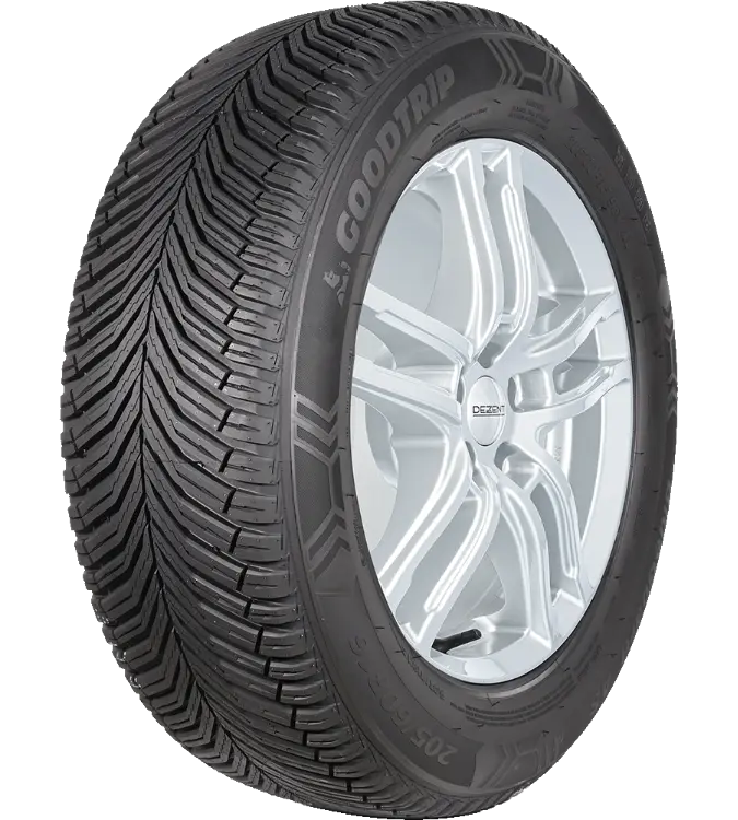 Goodtrip BlueGuard AS 205/50 R17 93 W XL